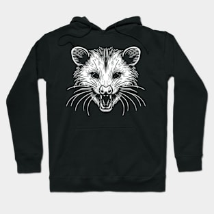 Trash Panda Who? Hoodie